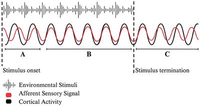 Prospects of cognitive-motor entrainment: an interdisciplinary review